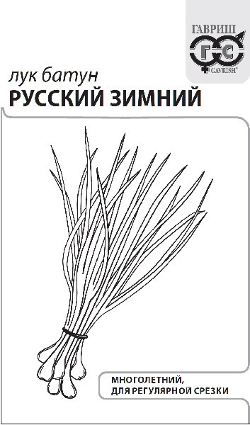 картинка Лук батун Русский зимний 0,5г б/п (Гавриш) среднеспел магазин Одежда+ являющийся официальным дистрибьютором в России 