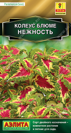 картинка Колеус Нежность блюме, смесь 5шт ц/п (Аэлита) магазин Одежда+ являющийся официальным дистрибьютором в России 