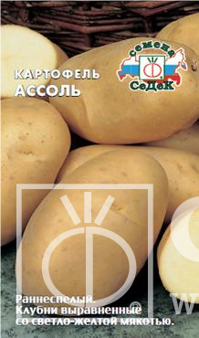Картофель Ассоль 0,02г ц/п (Седек) ранний, клубни и мякоть св.желтые