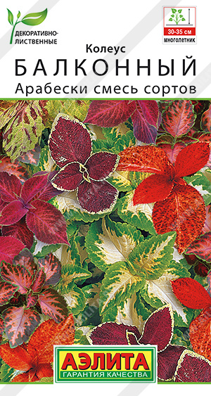 картинка Колеус Арабески, смесь 5шт ц/п (Аэлита) Новинка магазин Одежда+ являющийся официальным дистрибьютором в России 