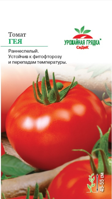 картинка Томат Гея 0,2г ц/п (Седек) скороспелый, детерминантный,130-150г магазин Одежда+ являющийся официальным дистрибьютором в России 