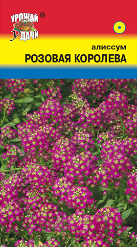 картинка Алиссум Розовая королева 0,2г ц/п (УУ) магазин Одежда+ являющийся официальным дистрибьютором в России 