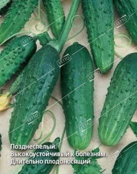 картинка Огурец Феникс 640 1кг (ПрСидс) магазин Одежда+ являющийся официальным дистрибьютором в России 