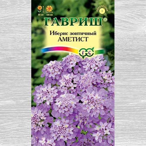 картинка Иберис Аметист 0,1г ц/п (Гавриш) магазин Одежда+ являющийся официальным дистрибьютором в России 