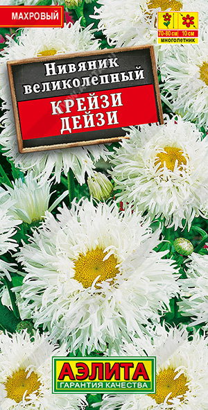 картинка Нивяник Крейзи Дейзи махровый ц/п (Аэлита) магазин Одежда+ являющийся официальным дистрибьютором в России 