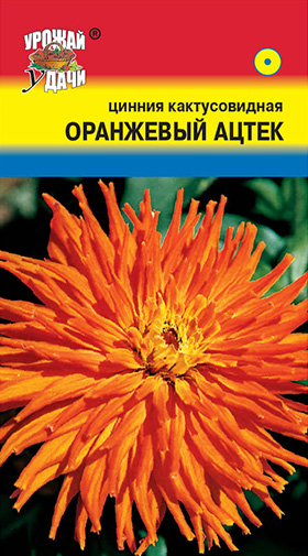 картинка Цинния Оранжевый ацтек 0,2г ц/п (УУ) магазин Одежда+ являющийся официальным дистрибьютором в России 
