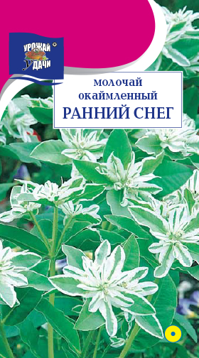 картинка Молочай Ранний снег окаймленный 0,2г ц/п (УУ) магазин Одежда+ являющийся официальным дистрибьютором в России 