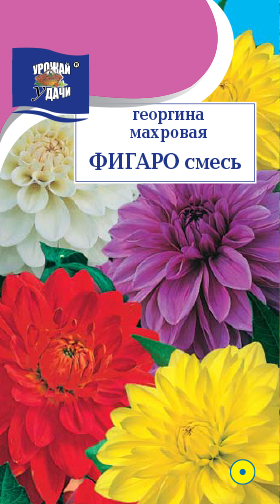 картинка Георгина Фигаро, смесь 0,2г ц/п (УУ) магазин Одежда+ являющийся официальным дистрибьютором в России 