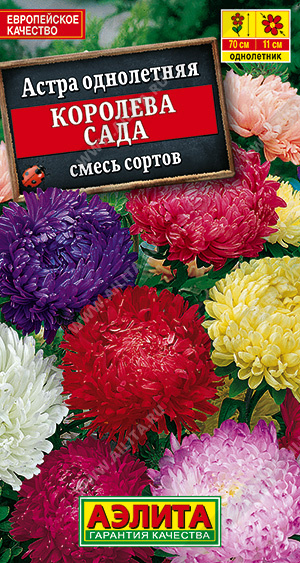 картинка Астра Королева сада Смесь 0,2 ц/п (Аэлита)  магазин Одежда+ являющийся официальным дистрибьютором в России 