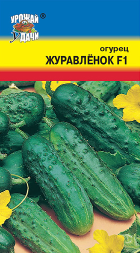 картинка Огурец Журавленок F1 0,3г б/п (УУ) магазин Одежда+ являющийся официальным дистрибьютором в России 