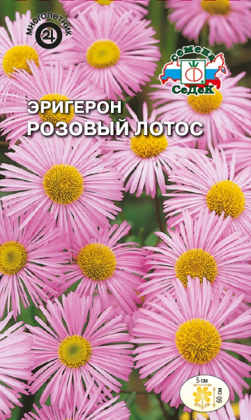 Эригерон Розовый лотос 0,1г ц/п (Седек)