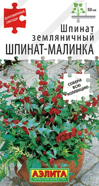 картинка Шпинат земляничный Шпинат-малинка 0,05г ц/п (Аэлита) магазин Одежда+ являющийся официальным дистрибьютором в России 