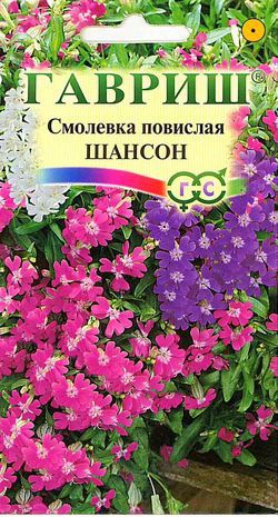 картинка Смолевка Шансон повислая (силена) 0,1г ц/п (Гавриш) магазин Одежда+ являющийся официальным дистрибьютором в России 