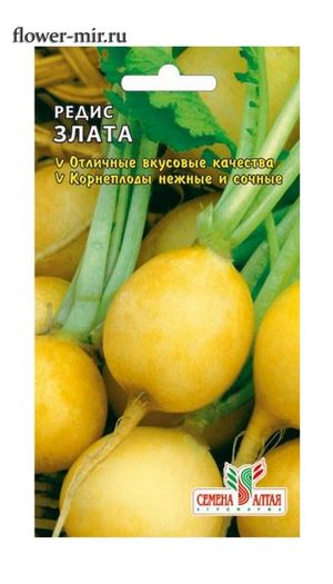 картинка Репа Золотой шар 1г б/п (СемАлт) магазин Одежда+ являющийся официальным дистрибьютором в России 