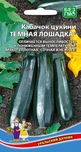 картинка Кабачок Темная лошадка, цуккини 10шт ц/п (УД) магазин Одежда+ являющийся официальным дистрибьютором в России 