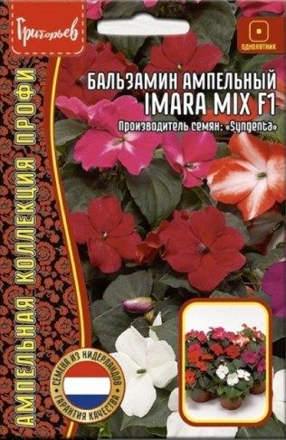 Бальзамин Imara Mix ампельный 5шт (Григорьев)