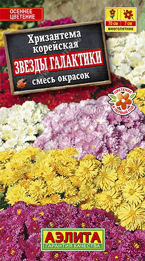 картинка Хризантема Звезды галактики, смесь 0,02г ц/п (Аэлита) магазин Одежда+ являющийся официальным дистрибьютором в России 