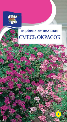 картинка Вербена Смесь окрасок ампельная 0,1г ц/п (УУ) магазин Одежда+ являющийся официальным дистрибьютором в России 