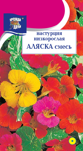 картинка Настурция Аляска 1,5г ц/п (УУ) кустовая магазин Одежда+ являющийся официальным дистрибьютором в России 