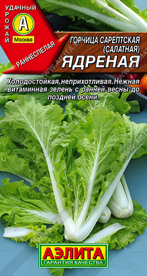 картинка Горчица Ядреная 0,5г ц/п (Аэлита) магазин Одежда+ являющийся официальным дистрибьютором в России 