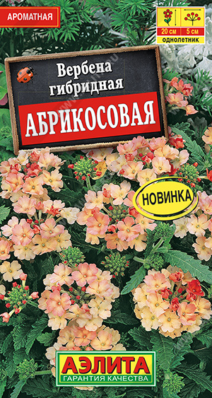 картинка Вербена Абрикосовая 10шт ц/п (Аэлита) Новинка магазин Одежда+ являющийся официальным дистрибьютором в России 