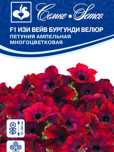 картинка Петуния Изи Вейв Бургунди Велюр F1 4шт (Семко) магазин Одежда+ являющийся официальным дистрибьютором в России 