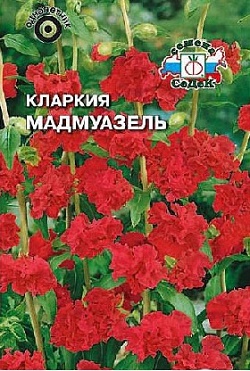 картинка Кларкия Мадмуазель 0,1г ц/п (Седек) темно-красная  магазин Одежда+ являющийся официальным дистрибьютором в России 
