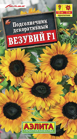 картинка Подсолнечник Везувий F1 ц/п (Аэлита) магазин Одежда+ являющийся официальным дистрибьютором в России 