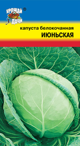 картинка Капуста Июньская 0,5г б/п (УУ) магазин Одежда+ являющийся официальным дистрибьютором в России 