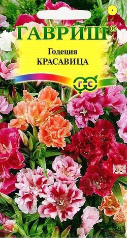 картинка Годеция Красавица 0,1г ц/п (Гавриш) махр.смесь  магазин Одежда+ являющийся официальным дистрибьютором в России 