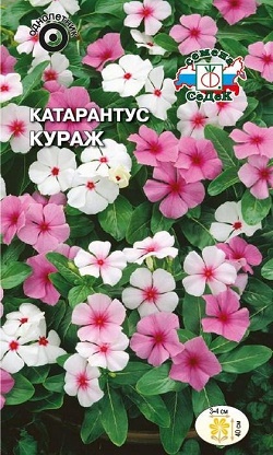 картинка Катарантус Кураж, смесь 0,1г ц/п (Седек) магазин Одежда+ являющийся официальным дистрибьютором в России 