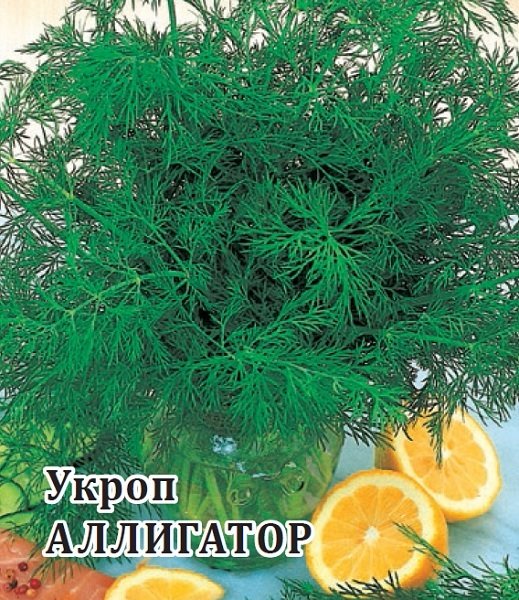 картинка Укроп Аллигатор 50г (Гавриш) магазин Одежда+ являющийся официальным дистрибьютором в России 