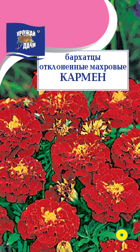 картинка Бархатцы Кармен 0,3г ц/п (УУ) откл. 30см/5см магазин Одежда+ являющийся официальным дистрибьютором в России 
