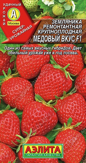 картинка Земляника Медовый вкус F1 7шт ц/п (Аэлита) ремонтантная магазин Одежда+ являющийся официальным дистрибьютором в России 