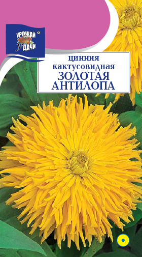 картинка Цинния Золотая антилопа 0,2г ц/п *(УУ) кактус. магазин Одежда+ являющийся официальным дистрибьютором в России 