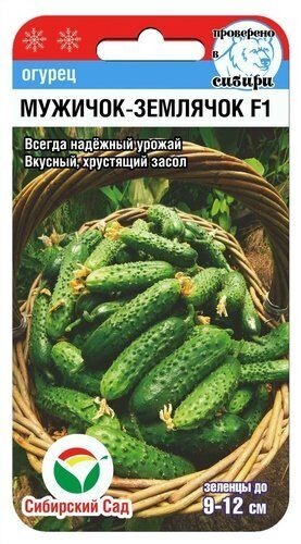 картинка Огурец Мужичок-землячок F1 7шт (СибСад) Новинка магазин Одежда+ являющийся официальным дистрибьютором в России 