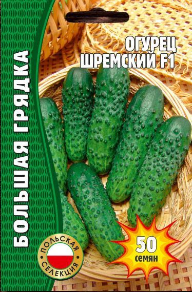 Огурец Шремский F1 50шт (Григорьев) Польск.селекция
