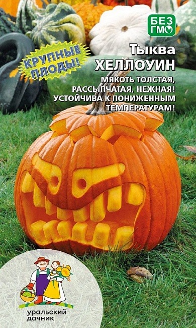 картинка Тыква Хеллоуин ц/п (УД) магазин Одежда+ являющийся официальным дистрибьютором в России 