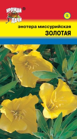 картинка Энотера Золотая миссурийская 0,1г ц/п (УУ) магазин Одежда+ являющийся официальным дистрибьютором в России 