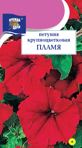 картинка Петуния Пламя 0,1г ц/п (УУ) магазин Одежда+ являющийся официальным дистрибьютором в России 