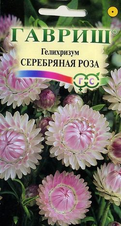 картинка Гелихризум Серебряная роза 0,01г ц/п (Гавриш) магазин Одежда+ являющийся официальным дистрибьютором в России 