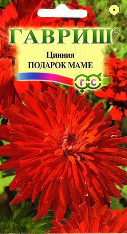картинка Цинния Подарок маме 0,3г ц/п (Гавриш) красная,90см,круп.соцв. магазин Одежда+ являющийся официальным дистрибьютором в России 