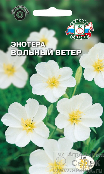картинка Энотера Вольный ветер 0,1г ц/п (Седек) магазин Одежда+ являющийся официальным дистрибьютором в России 