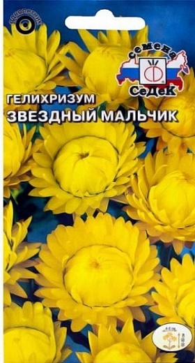 картинка Гелихризум Звездный мальчик 0,2г ц/п (Седек) желтый магазин Одежда+ являющийся официальным дистрибьютором в России 