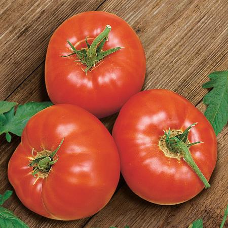 картинка Томат Белгородский 10шт ц/п (Сады России) магазин Одежда+ являющийся официальным дистрибьютором в России 