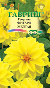 картинка Георгина Фигаро желтый 7шт ц/п (Гавриш) магазин Одежда+ являющийся официальным дистрибьютором в России 