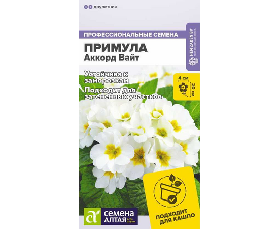 картинка Примула Аккорд Вайт 5шт ц/п (СемАлт) магазин Одежда+ являющийся официальным дистрибьютором в России 