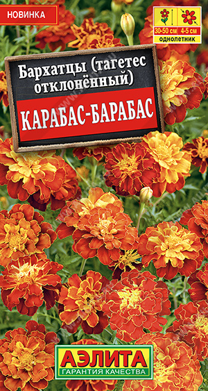 картинка Бархатцы Карабас-Барабас 0,3г ц/п (Аэлита) 30см/5см  магазин Одежда+ являющийся официальным дистрибьютором в России 