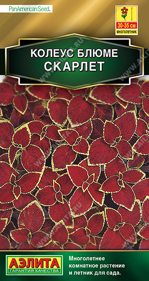 картинка Колеус Скарлет блюме 10шт ц/п (Аэлита) магазин Одежда+ являющийся официальным дистрибьютором в России 