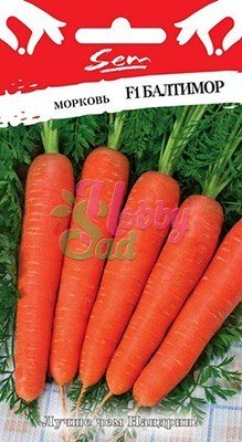 Морковь Балтимор F1 150шт ц/п (НК) Русский огород